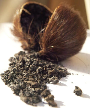 麝香精油 Musk Essential Oil