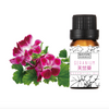 Geranium Essential Oil 