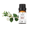 Myrtus communis