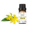 Ylang Ylang essential oil