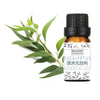 Eucalyptus essential oil